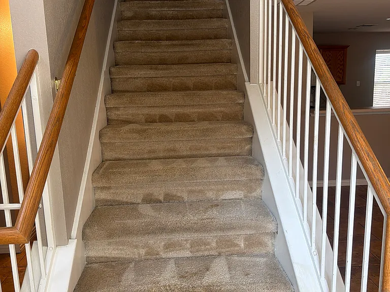 3809 Castle Rock Cv — Photo 12