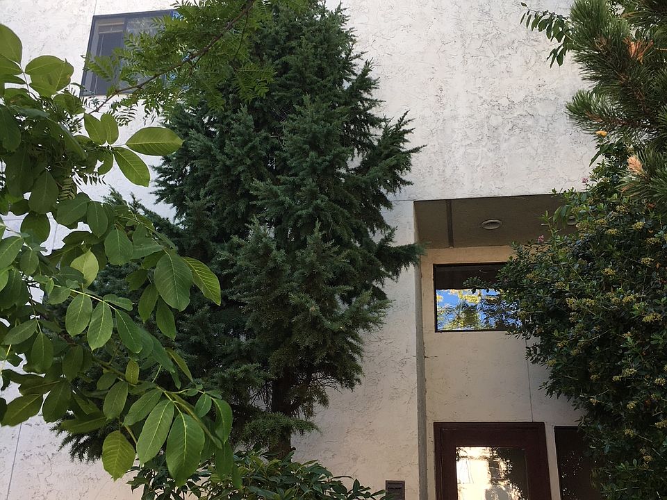 Mona Lisa Apartments 2001 NW 65th St Seattle WA Zillow