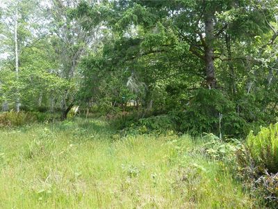 684 Lake Island Avenue SE, Ocean Shores, WA, 98569