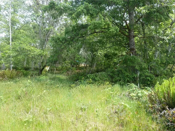 684 Lake Island Avenue SE, Ocean Shores, WA 98569