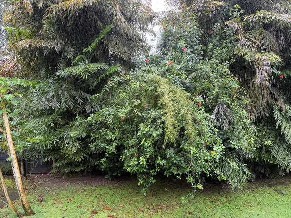 16-1620 39th Ave, Kurtistown, HI 96760