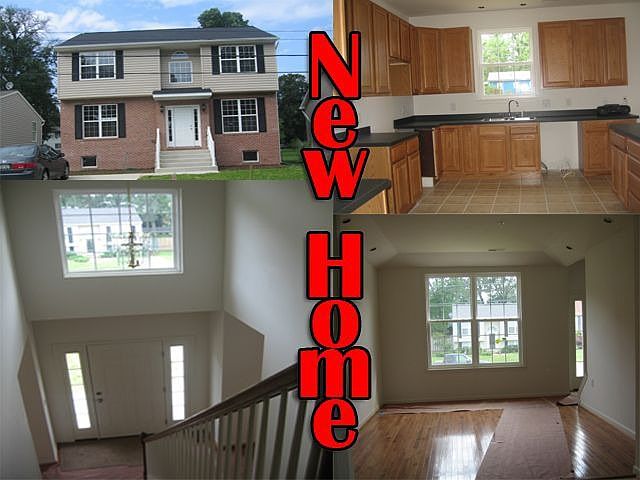 Visit Our Website For More Pictures