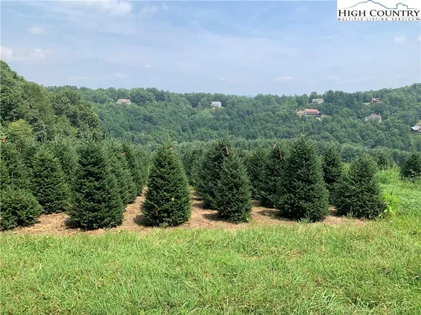 TBD Hartzog Ford Road, West Jefferson, NC 28694