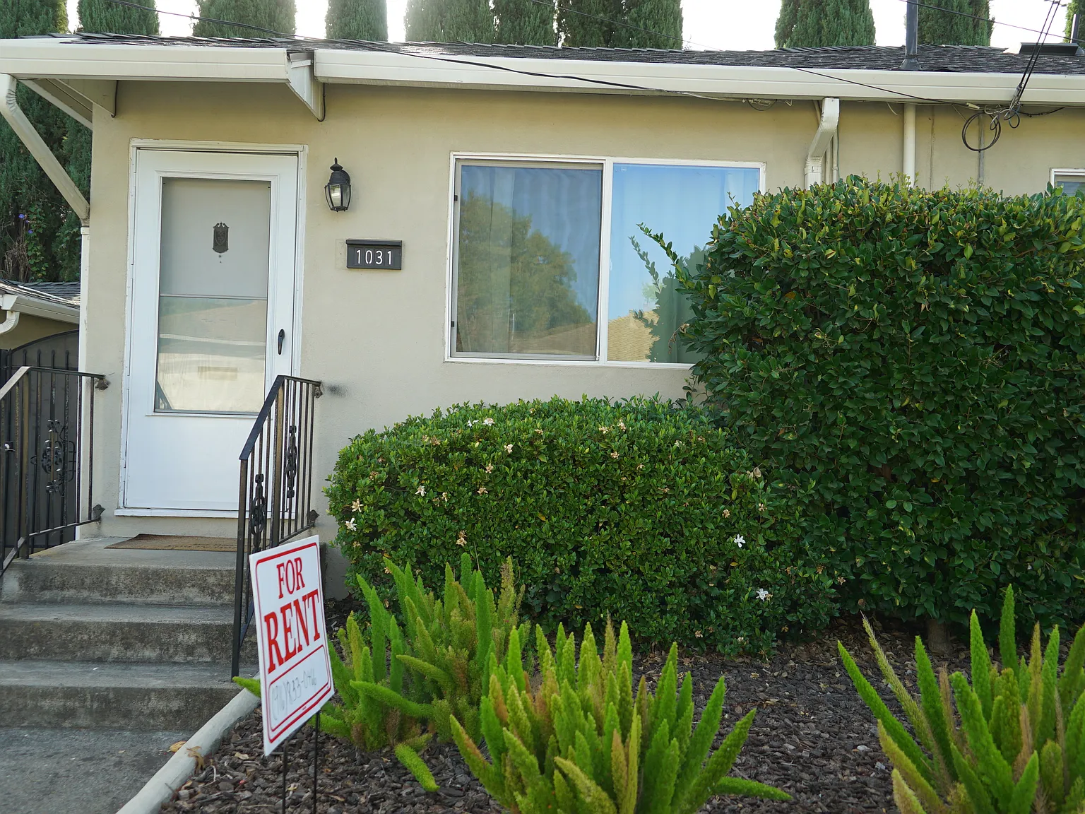 2 bed, 951 sqft, $2,450 — Photo 1