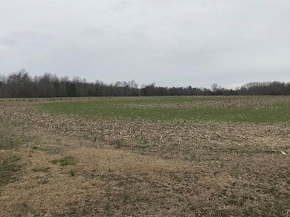 3rd image of 775 College Run Dr