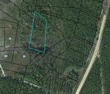 21 Hawks Way, Waynesville, GA, 31566