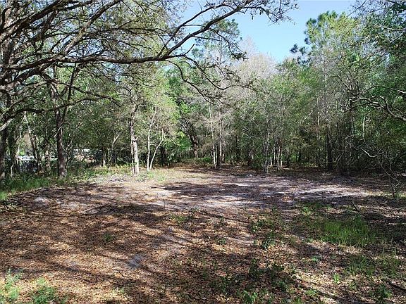 3rd image of Cedarhurst Rd #521