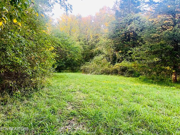 5th image of 864 E Bullrun Valley Dr