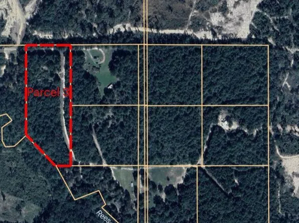 16 Oneshia, Petal, MS 39465