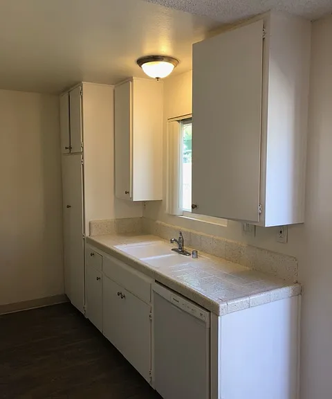 Kitchen, sink and DW