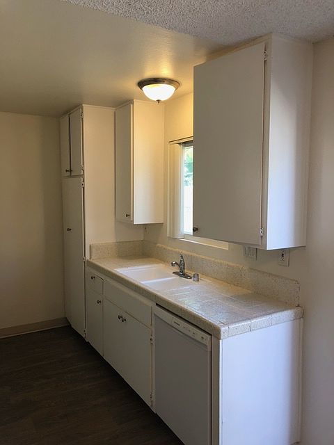 Kitchen, sink and DW