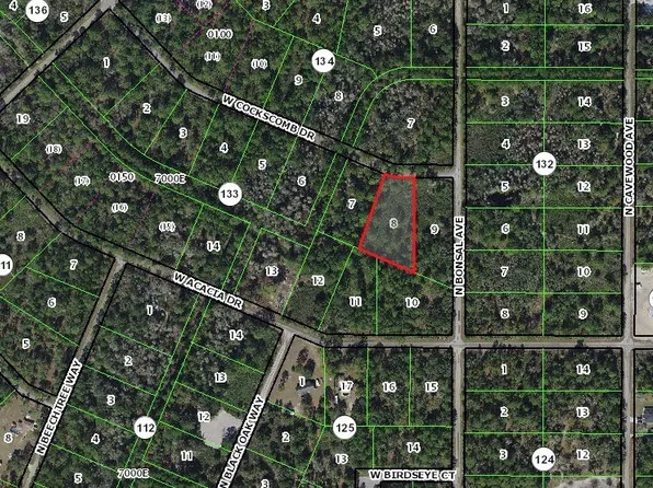 11228 W Cockscomb Dr, Crystal River, FL 34428