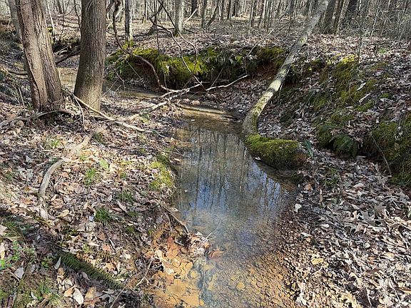 2nd image of 5085 Hardin Graveyard Rd