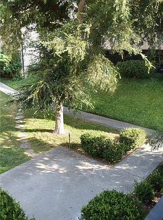 3rd image of 1745 Neil Armstrong St APT 205