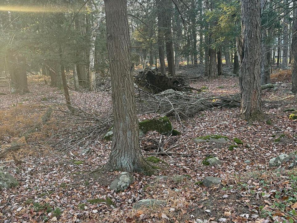 2nd image of 37 Beech Ln