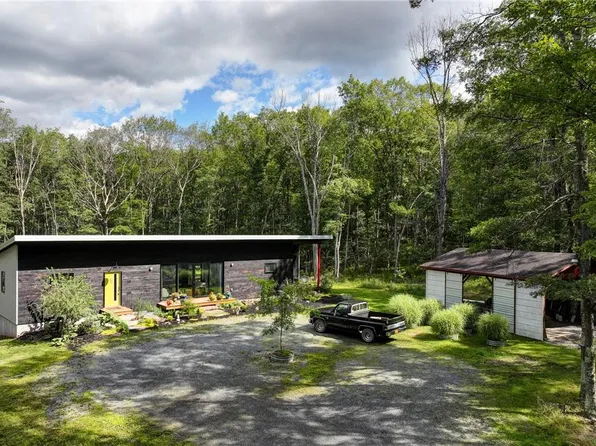 215 Cushetunk Drive, Narrowsburg, NY 12764