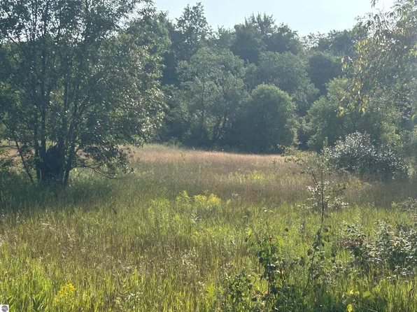 Helena Rd, Alden, MI 49612