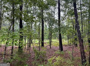0 Ben Holland Rd, Claxton, GA 30417