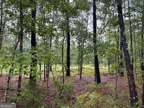 0 Ben Holland Rd, Claxton, GA 30417