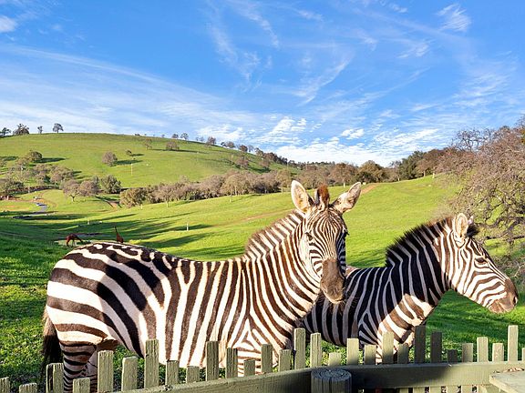 4th image of 7270 Sutter Ione Rd