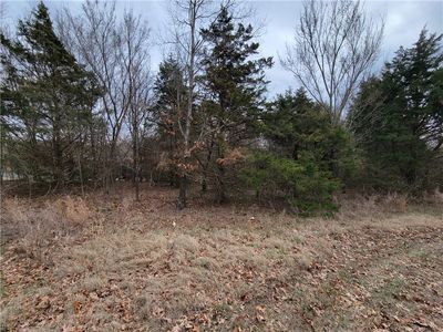 LOT 4 Borle Cir LOT 4, Bella Vista, AR, 72714