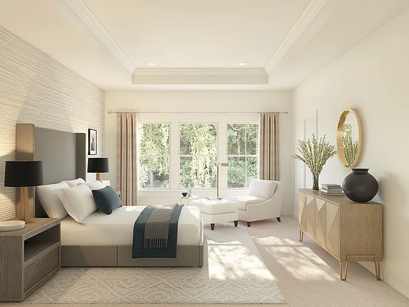 Primary suite with tray ceiling