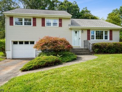 125 Sandra Dr, Parsippany, NJ, 07054