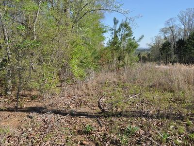 Brookwater Way Lot 18, Wedowee, AL, 36278