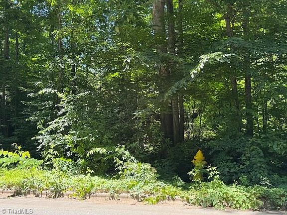 5th image of 271 Holly Ln Lot 16