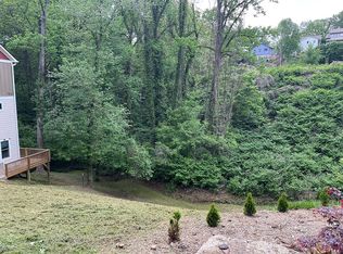 132 Houston St, Asheville, NC 28801