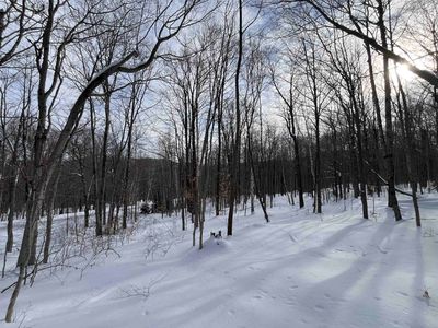 Lot 1 Streeter Road #1, West Wardsboro, VT, 05360