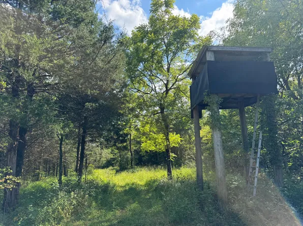 0 Pleasant Grove Rd, Corinth, KY 41010