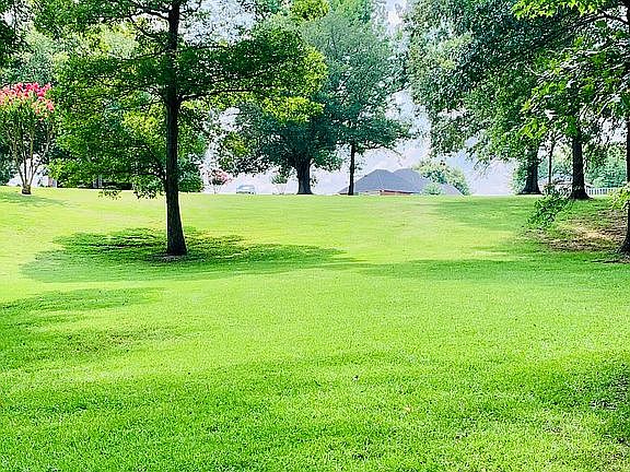 4th image of 9132 White Oak Ln