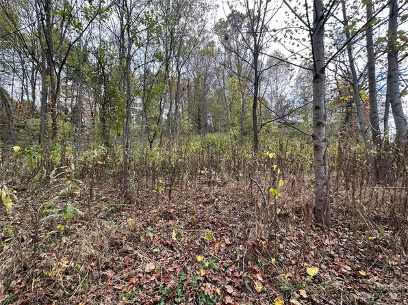 1764 Hyder Mountain Rd, Clyde, NC 28721
