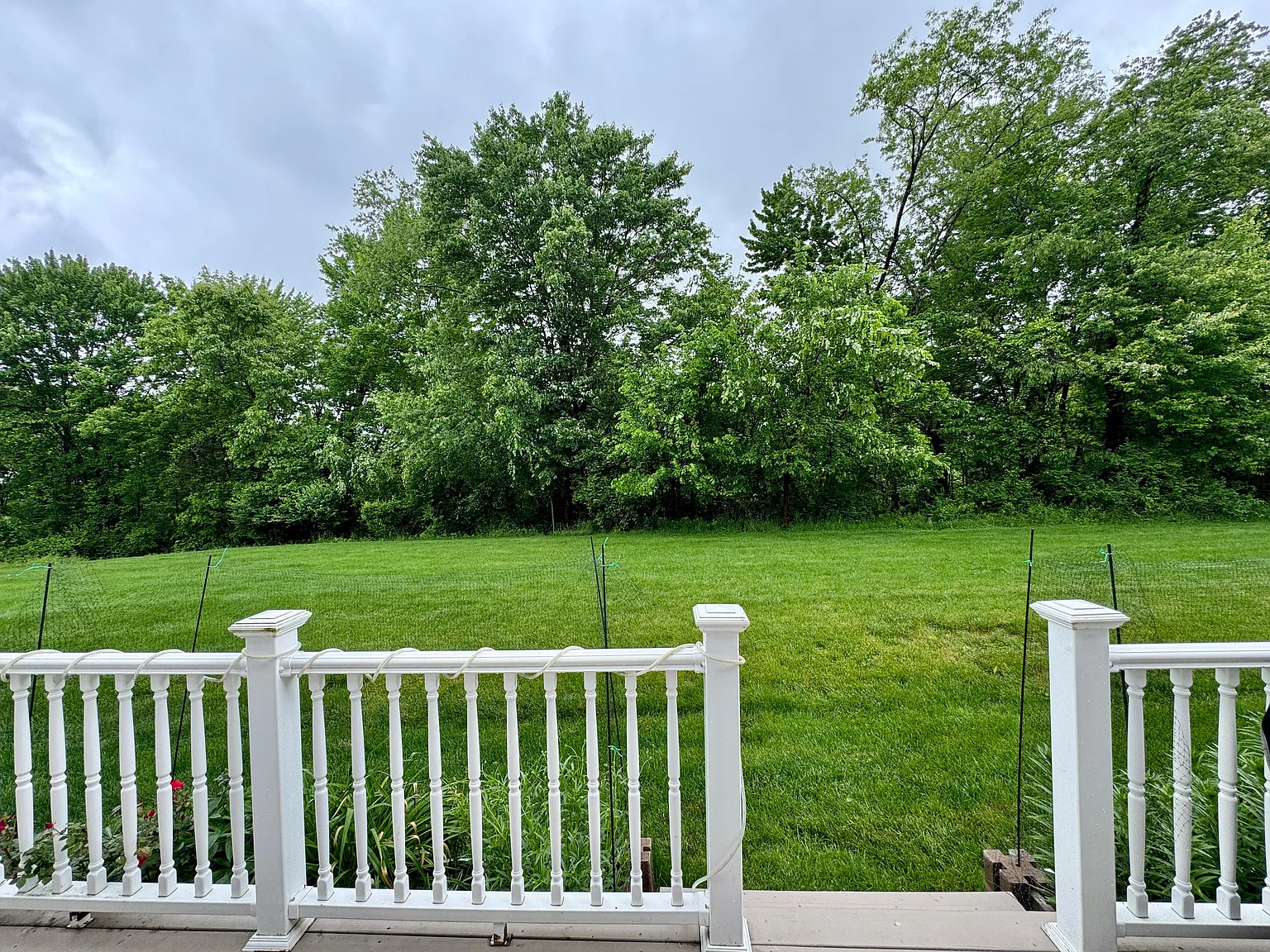 233 Grace Manor Dr — Photo 4