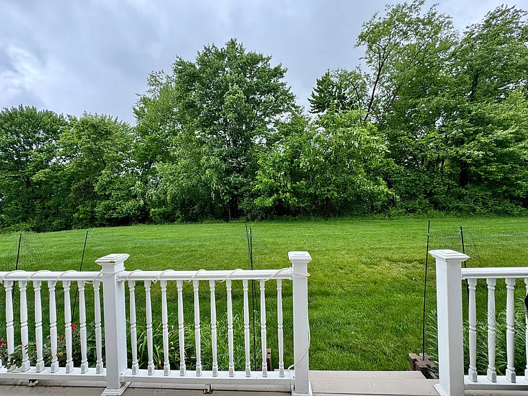 233 Grace Manor Dr — Photo 4
