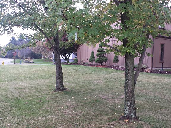 5th image of 1 Goldfinch Ct