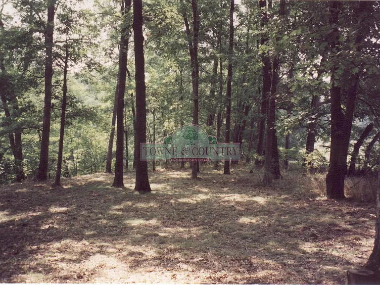 10690 Rose Briar Ct NE #126 — Photo 3