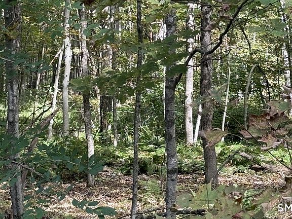 3rd image of Old Colony Road