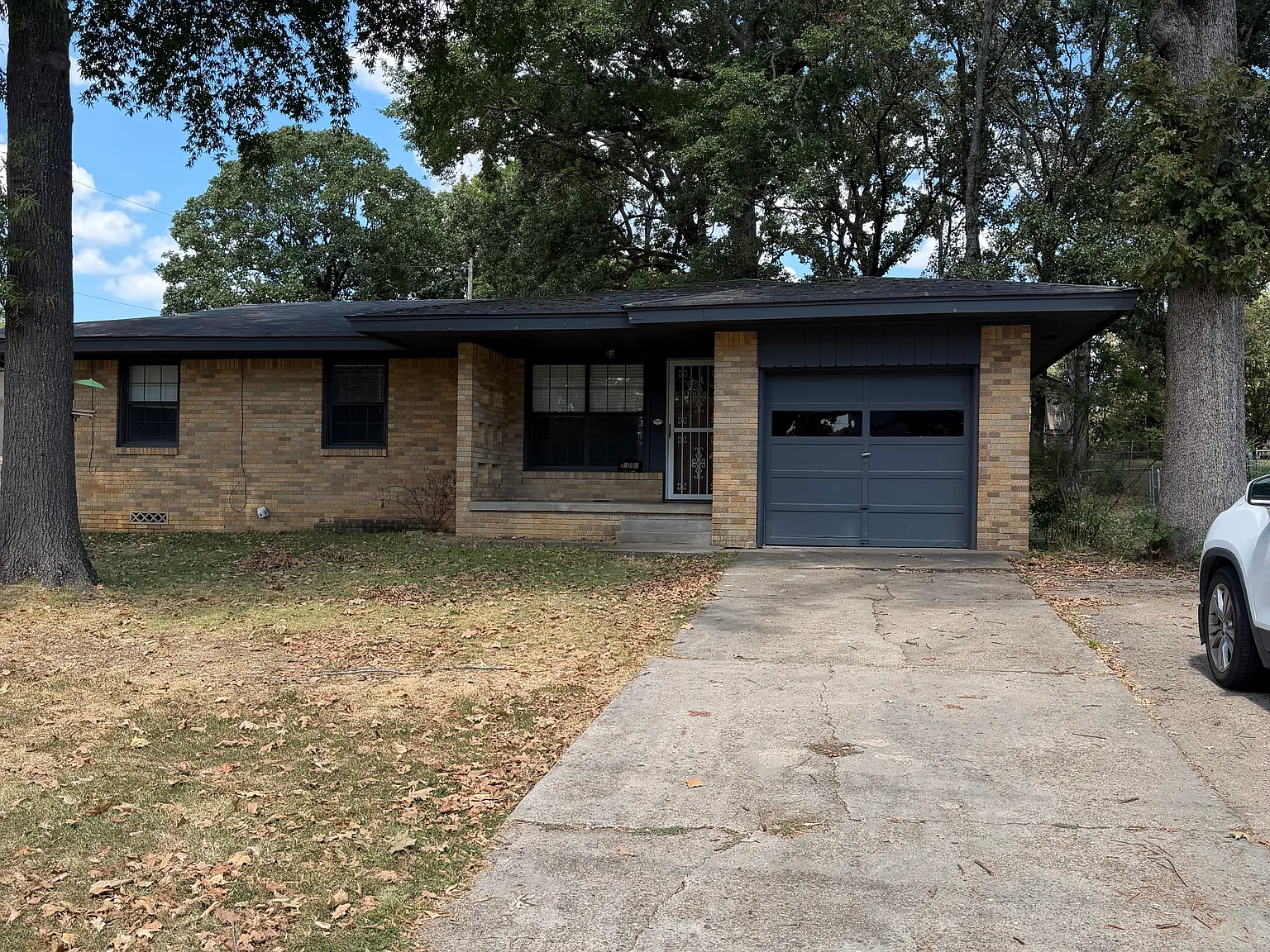 3 bed, 1240 sqft, $1,250 — Photo 2