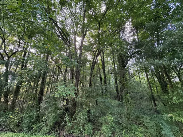 0 Hwy16/pat Luckett Rd, Canton, MS 39046