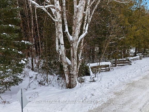 2nd image of 0 Quin Mo Lac Rd