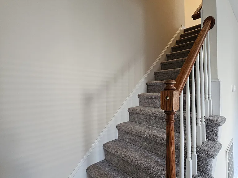 2517 Trailwood Hills Dr — Photo 12