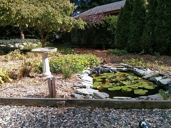 Summer backyard garden