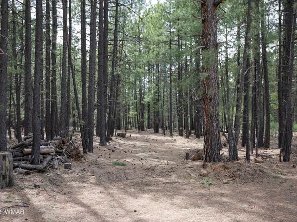 1924 Quilt Country Dr Lot 781, Forest Lakes, AZ 85931