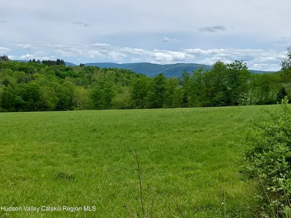 Tbd Upper Dingle Hill Road, Andes, NY 13731