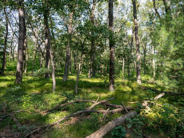 5.44 acres Colleen Drive, Lyndon Station, WI 53944