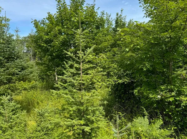 Off Old K10, Rapid River, MI 49878