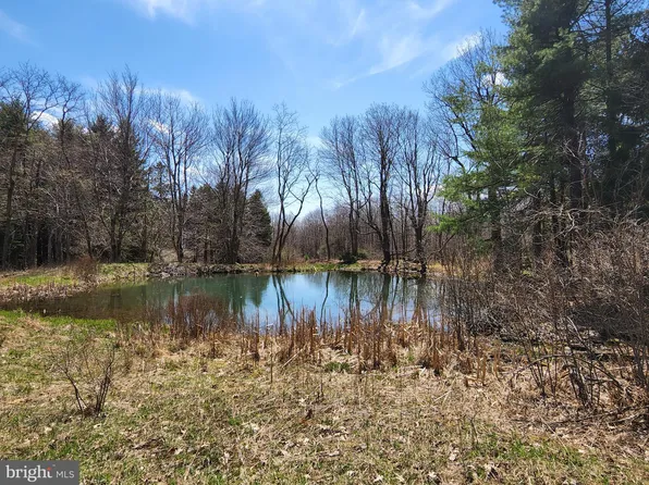 122 Mount Zion Rd, Swanton, MD 21561