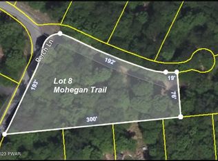 Mohegan, Newfoundland, PA 18445